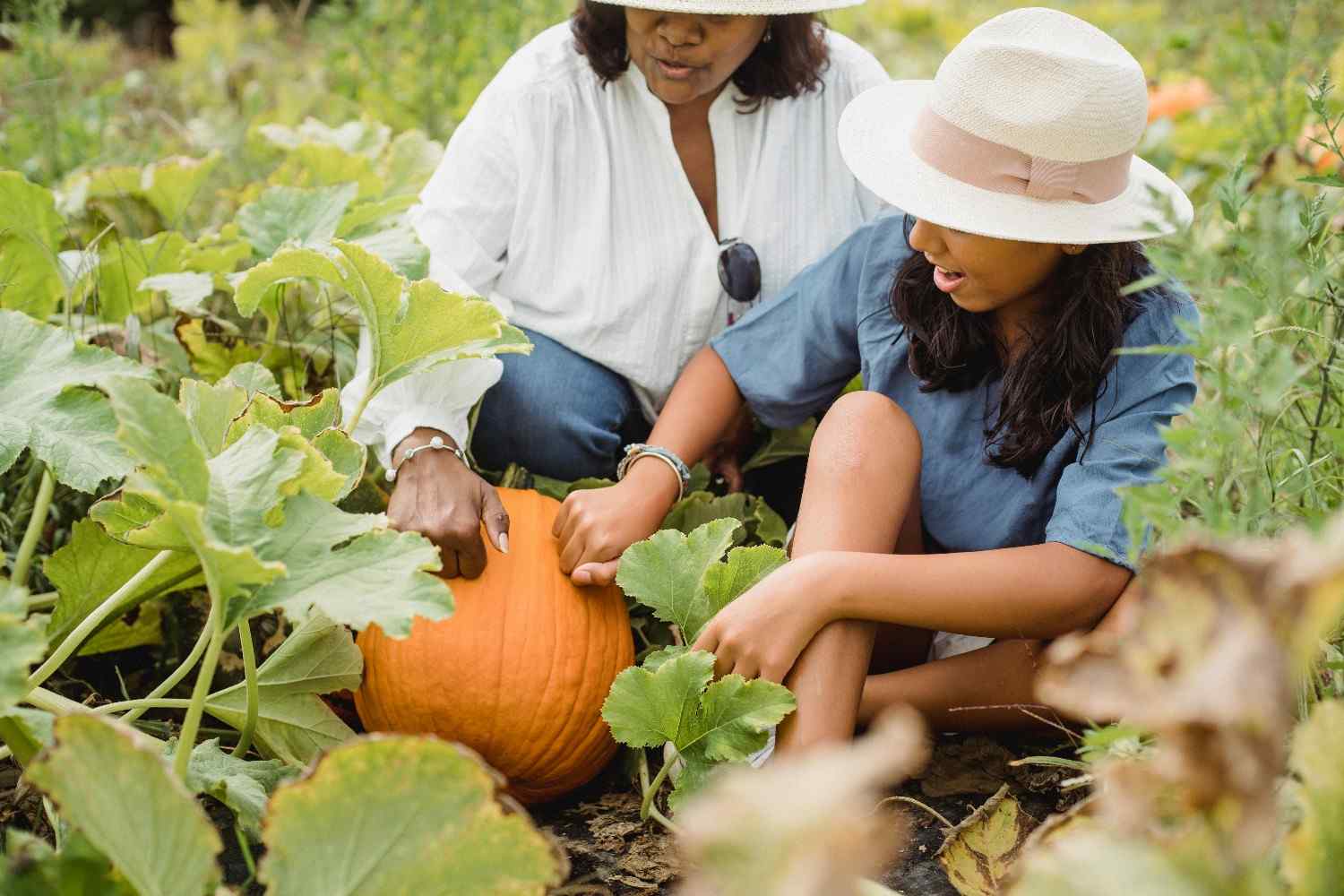 Growing Together: The Joy of Harvesting Pumpkins as a Family